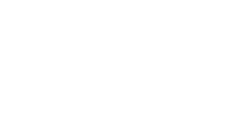 Racing icon
